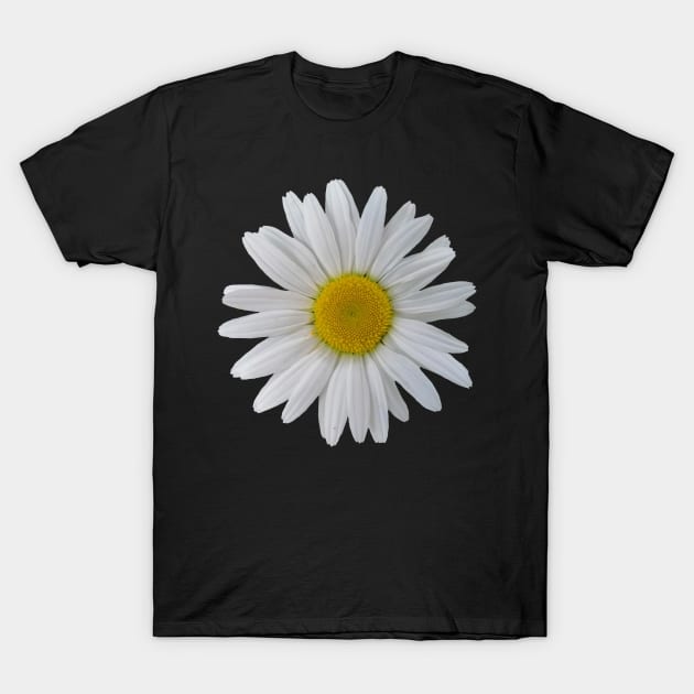 wonderful daisy flower, blooming daisy, blooms T-Shirt by rh_naturestyles